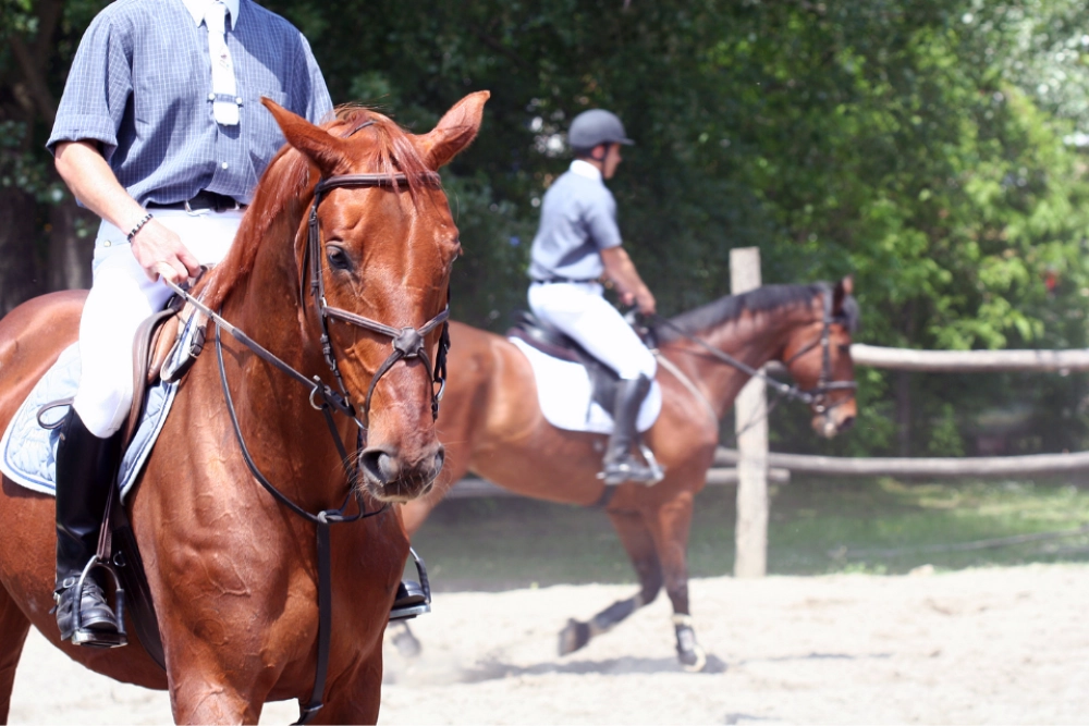 Binicilik Sporunun Faydaları