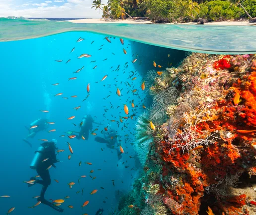 Tüplü Dalış Deneyimi - Discovery Dive