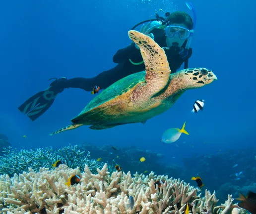 Tüplü Dalış Deneyimi - Discovery Dive