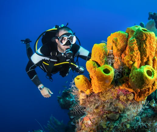 Tüplü Dalış Deneyimi - Discovery Dive