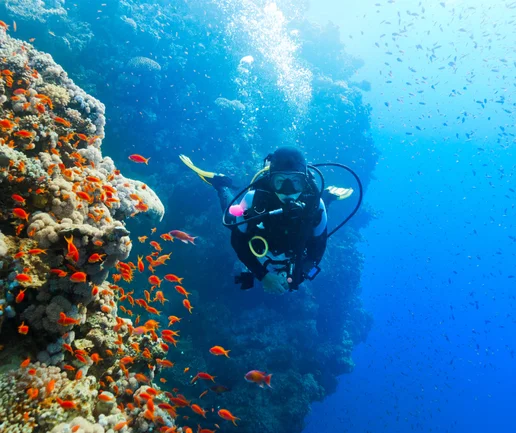 Tüplü Dalış Deneyimi - Discovery Dive