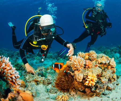 Tüplü Dalış Deneyimi - Discovery Dive