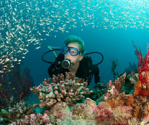 Tüplü Dalış Deneyimi - Discovery Dive