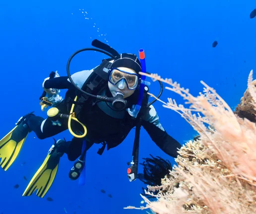 Tüplü Dalış Deneyimi - Discovery Dive