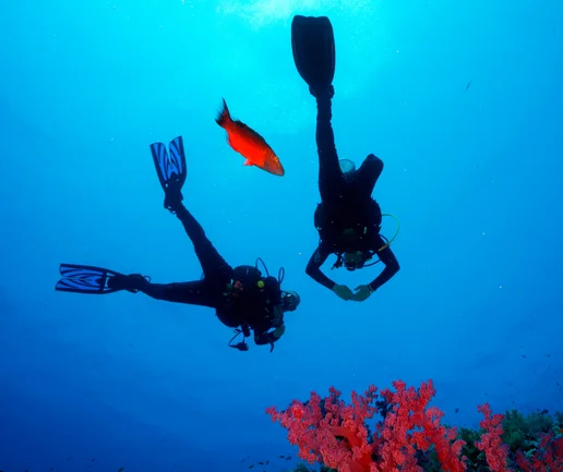 Tüplü Dalış Deneyimi - Discovery Dive