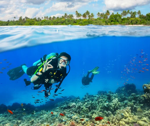 Tüplü Dalış Deneyimi - Discovery Dive