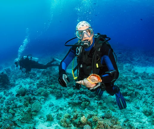 Tüplü Dalış Deneyimi - Discovery Dive