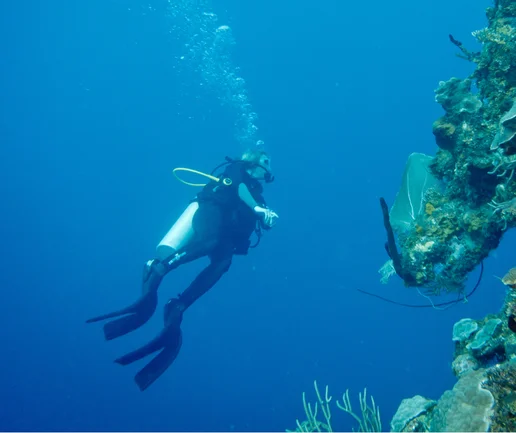 İleri Seviye Dalış Eğitimi - Advenced Open Water